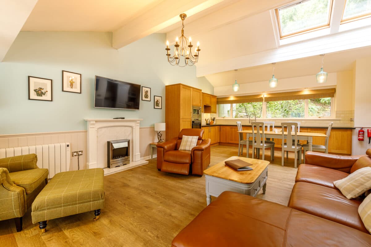 Bright, modern lodge living room and kitchen